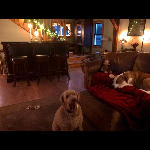 Meet your Posher, Mindy. - Picture 5 of 10